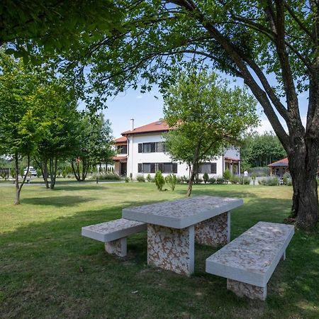 Pensiunea Negoiu Porumbacu de Sus Exterior foto