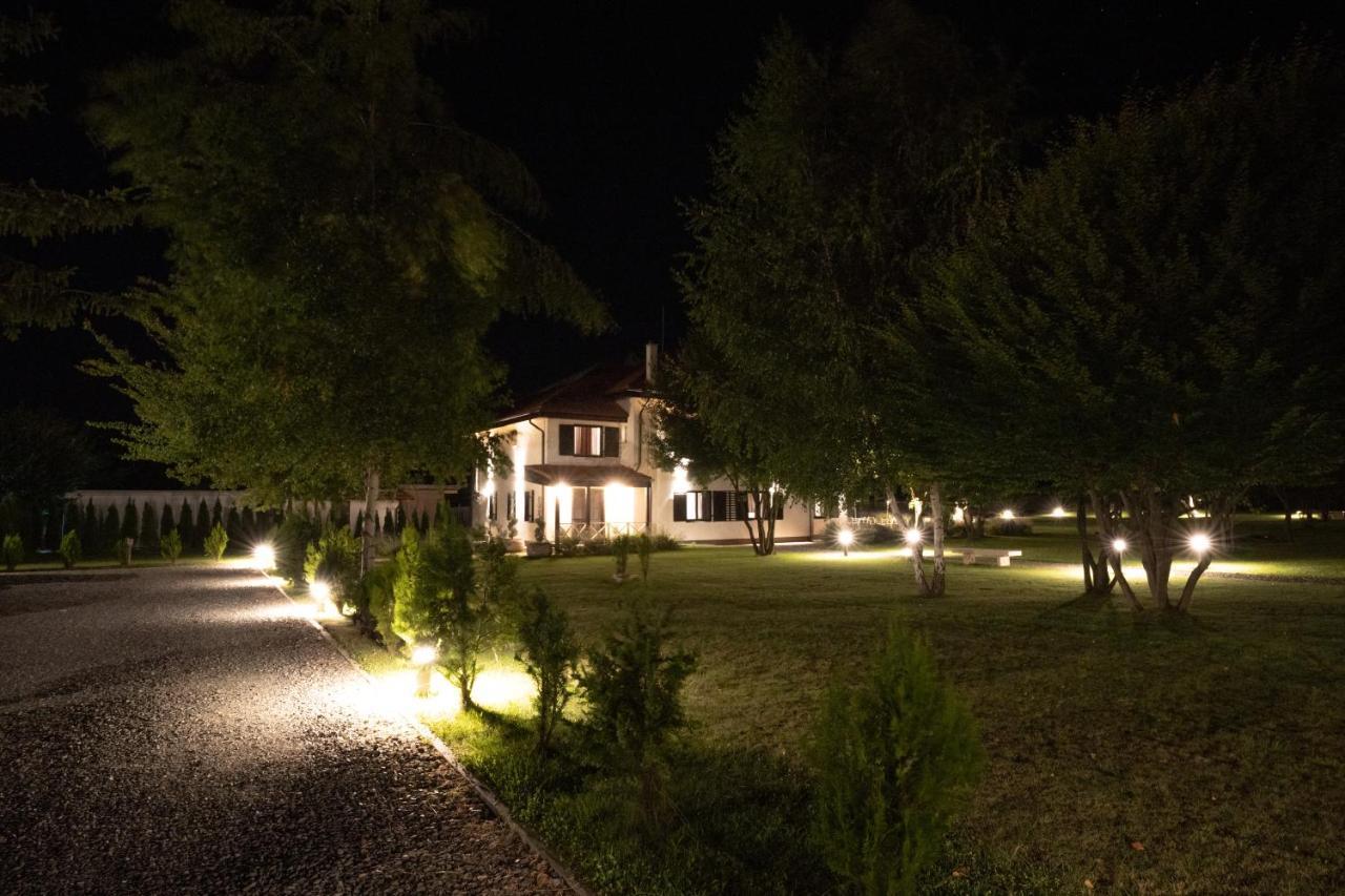 Pensiunea Negoiu Porumbacu de Sus Exterior foto