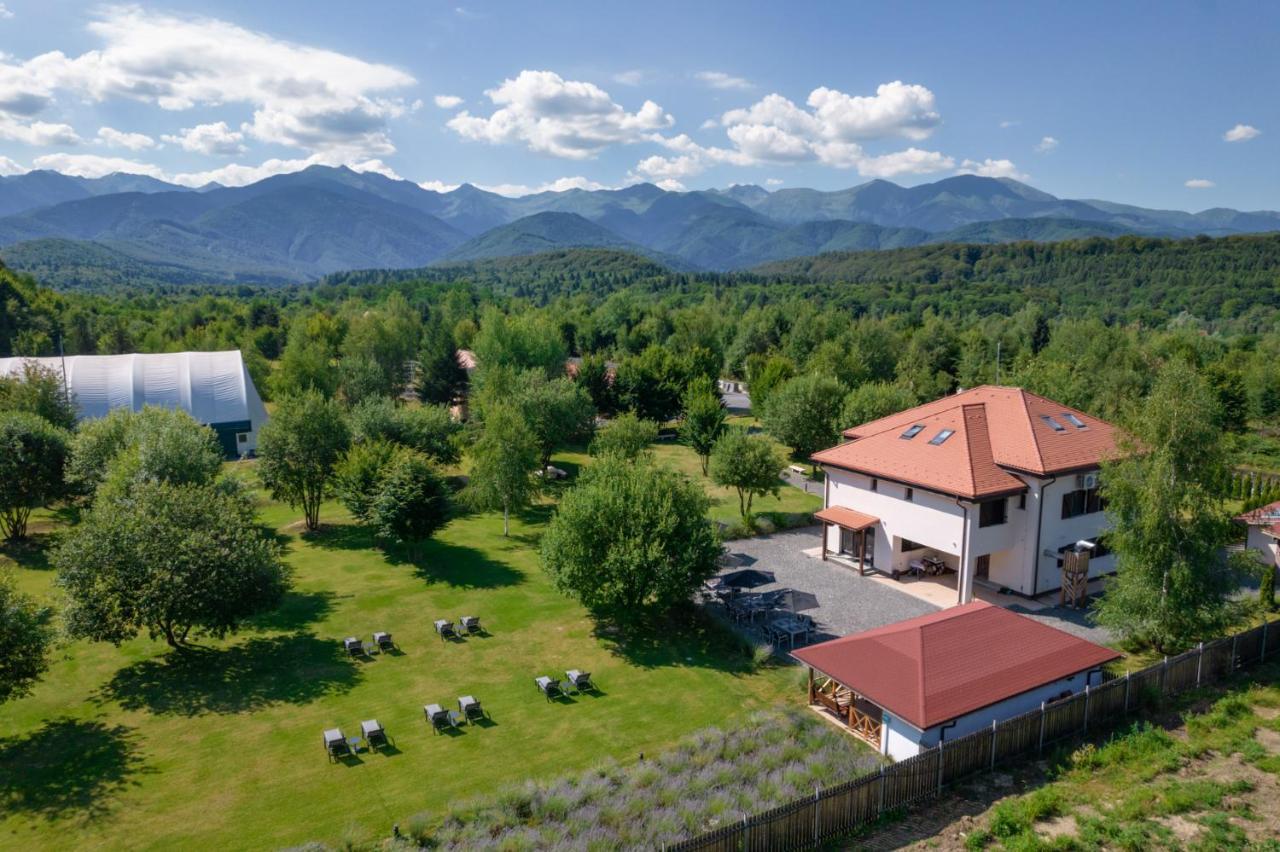 Pensiunea Negoiu Porumbacu de Sus Exterior foto