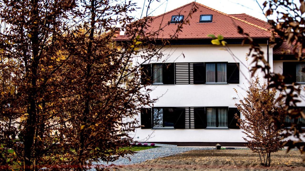Pensiunea Negoiu Porumbacu de Sus Exterior foto